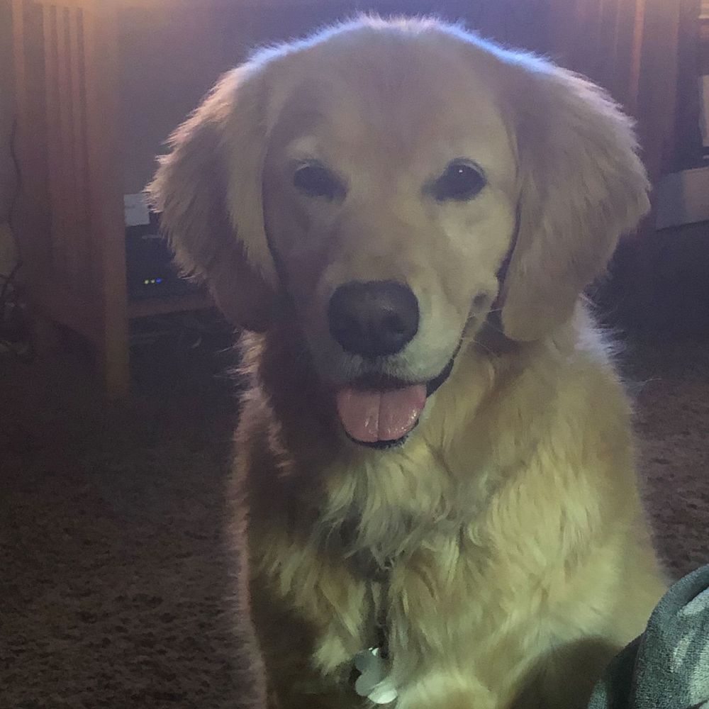 Meet your Posher, Charlene